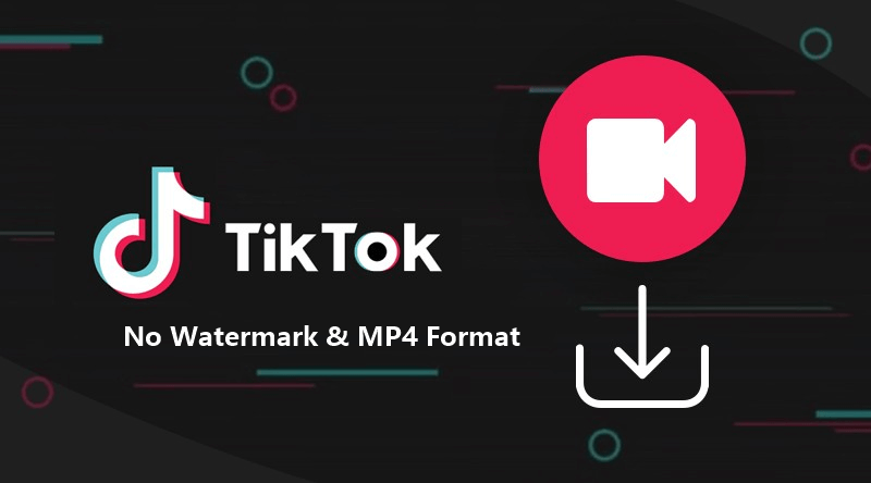 Tiktok Videos Downloader