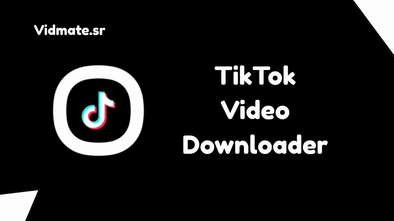 TikTok Video Downloader